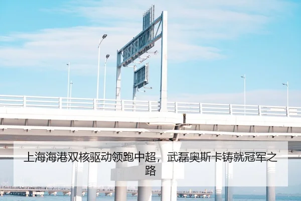 上海海港双核驱动领跑中超，武磊奥斯卡铸就冠军之路