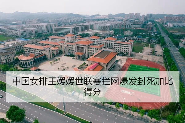 中国女排王媛媛世联赛拦网爆发封死加比得分